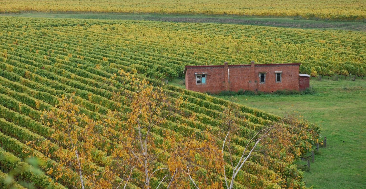 A weekend of Central Otago wine